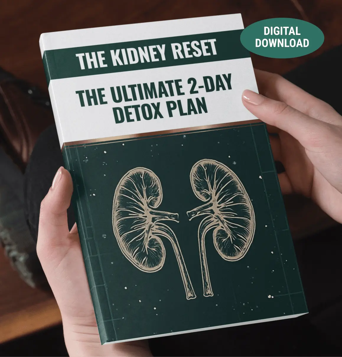 The Kidney Reset digital guide