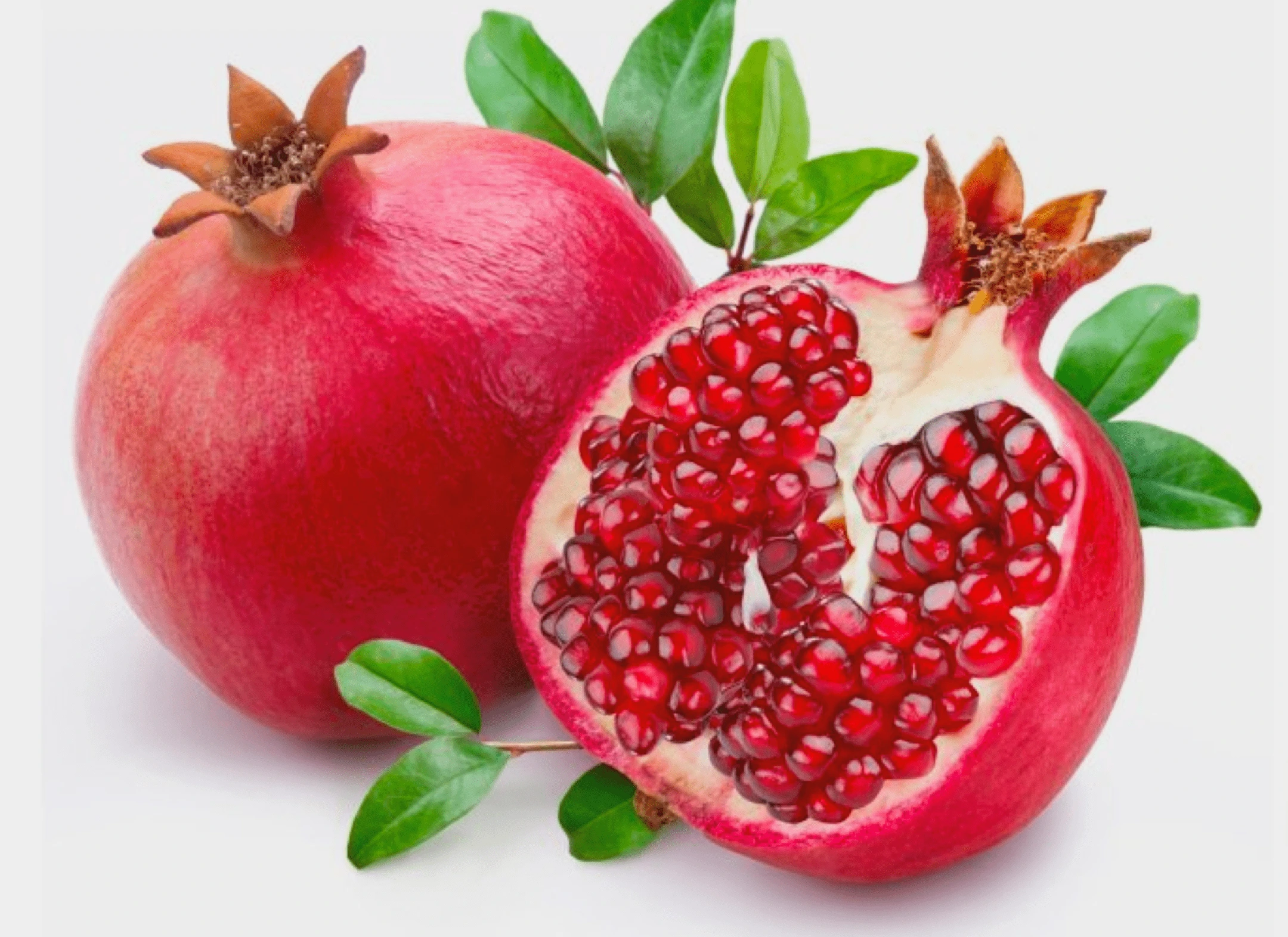 Pomegranate ingredient illustration