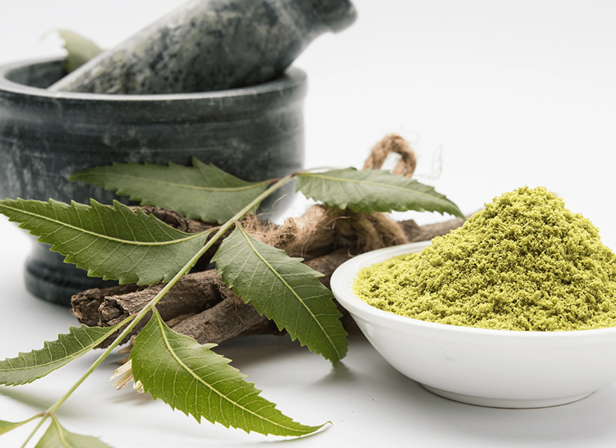 Neem ingredient illustration